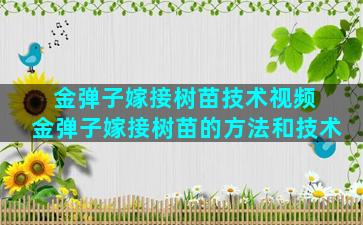 金弹子嫁接树苗技术视频 金弹子嫁接树苗的方法和技术